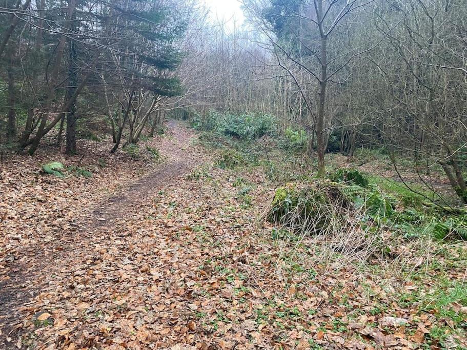 Forest View - Castlewellan, County Down Belfast Luaran gambar