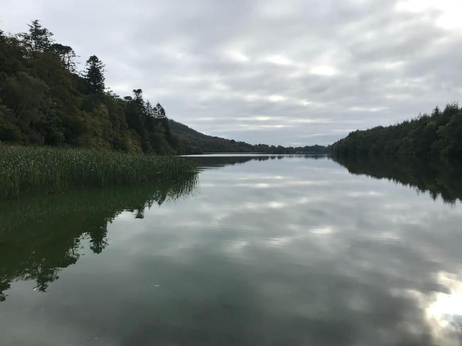 Forest View - Castlewellan, County Down Belfast Luaran gambar