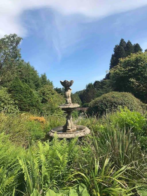 Forest View - Castlewellan, County Down Belfast Luaran gambar