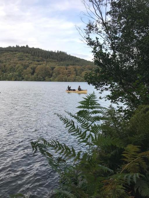 Forest View - Castlewellan, County Down Belfast Luaran gambar