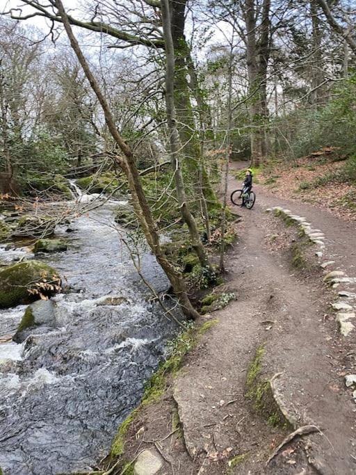 Forest View - Castlewellan, County Down Belfast Luaran gambar