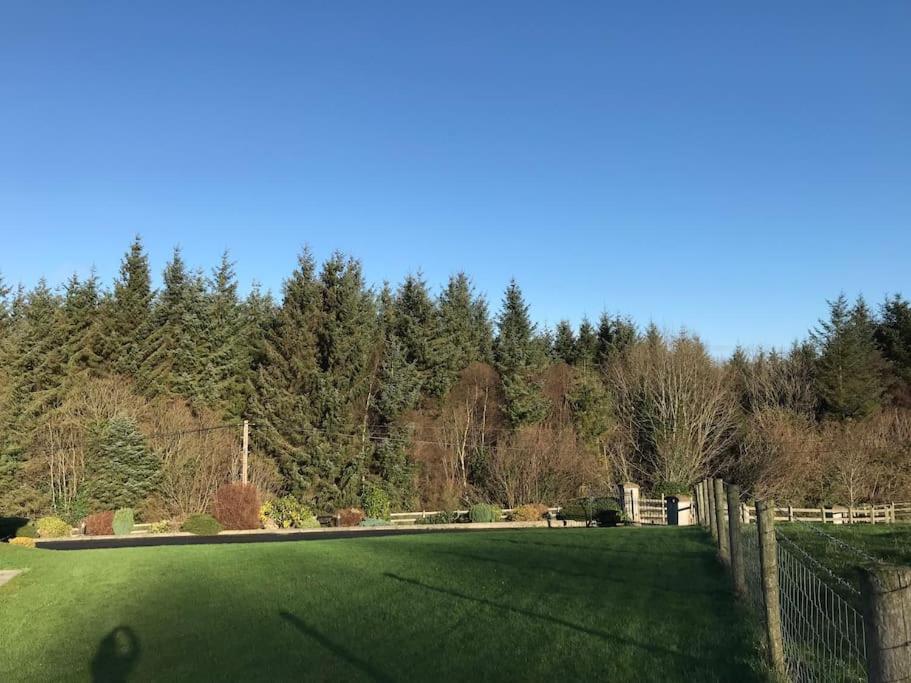 Forest View - Castlewellan, County Down Belfast Luaran gambar