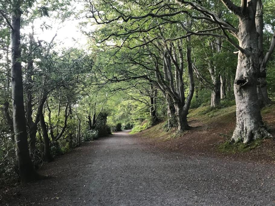 Forest View - Castlewellan, County Down Belfast Luaran gambar