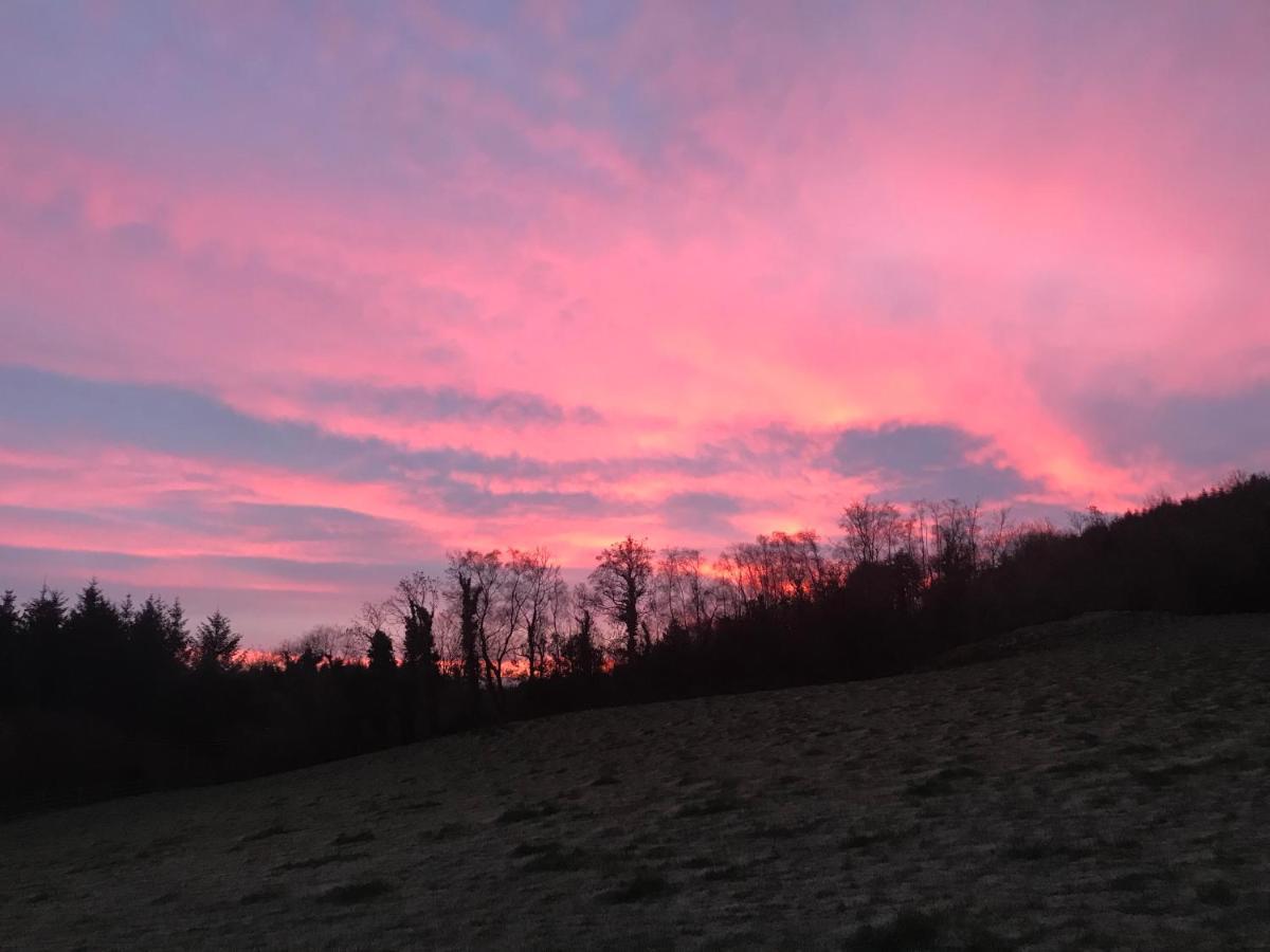 Forest View - Castlewellan, County Down Belfast Luaran gambar