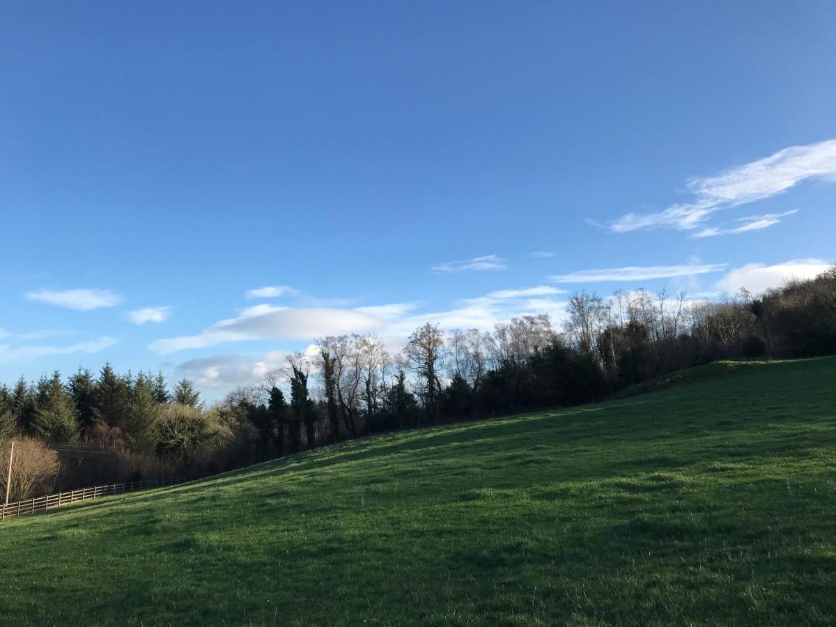 Forest View - Castlewellan, County Down Belfast Luaran gambar